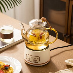 小家电礼盒装多功能养生壶花茶壶煮茶壶玻璃养生杯电炖杯办公室