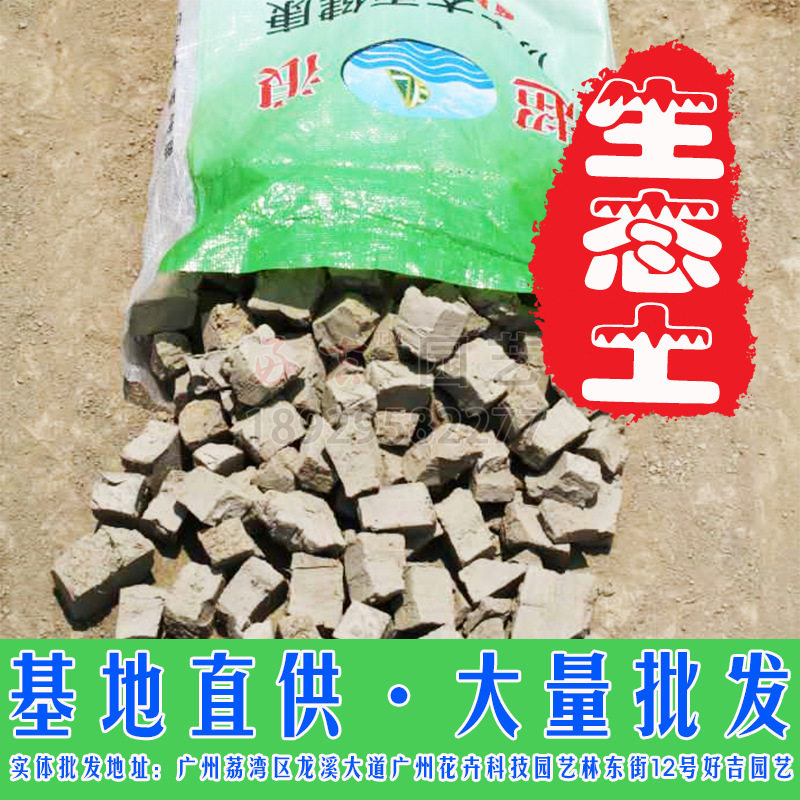 塘泥 荷塘泥河泥淤泥花园绿化花泥市政园林工程土 营养土大量