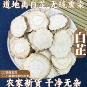 白芷中药材无硫川禹白芷片粉味浓白汤可做香料玉肌散粉调料卤料