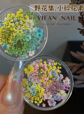 唯美小碎花混装彩色干花美甲饰品