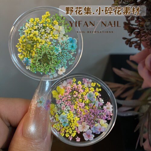 唯美小碎花混装彩色干花美甲饰品
