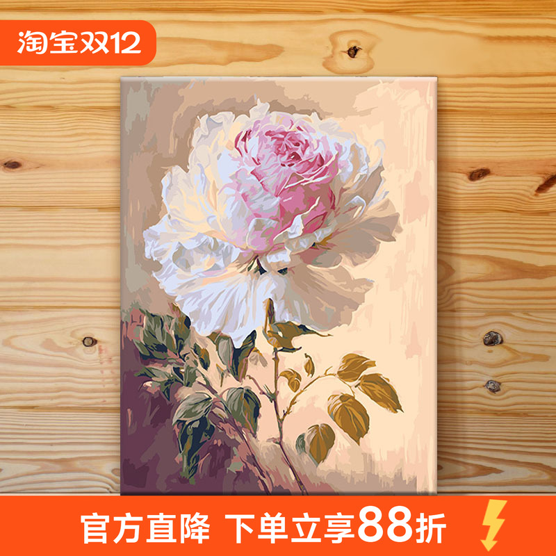 数字油画花卉diy填色画油彩画