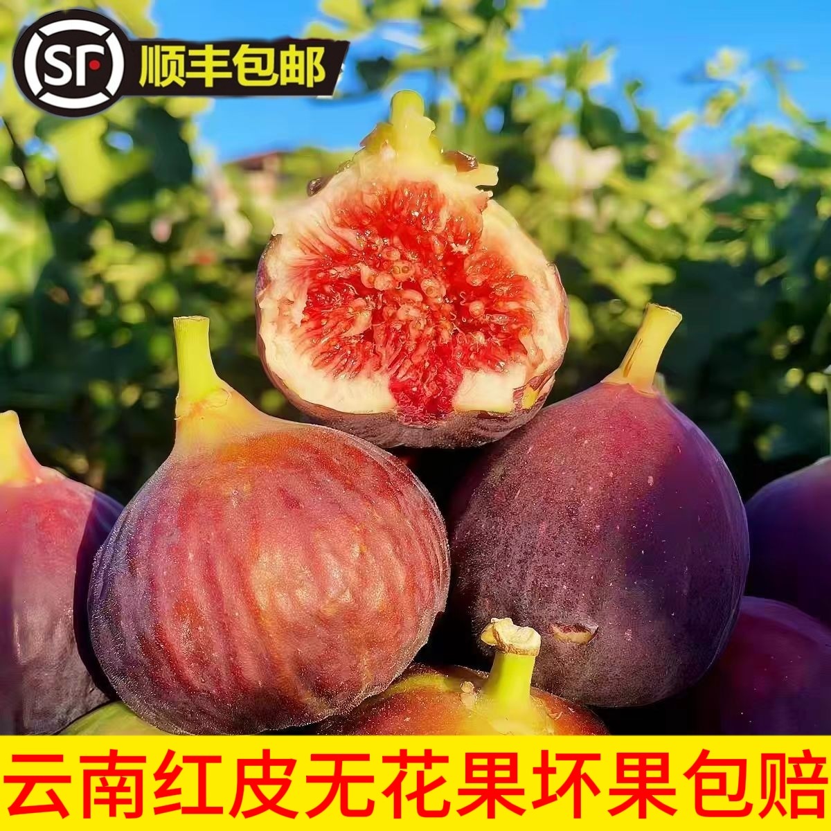 【顺丰包邮】正宗云南波姬红无花果树熟爆蜜软糯现摘新鲜孕妇水果