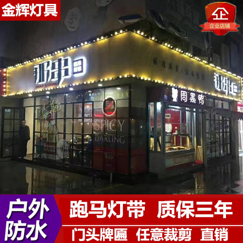 广告牌匾景观节日户外防水彩灯