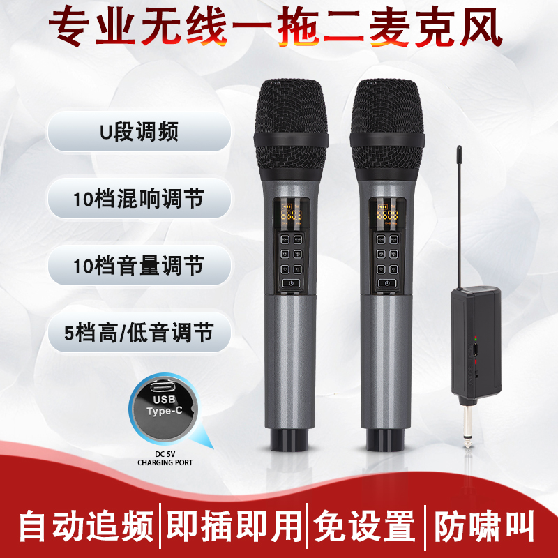 U段无线麦克风混响多功能一拖二话筒演出户外音响ktv声卡通用直播