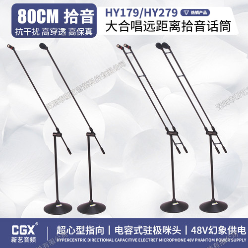 专业双杆大合唱演讲主持电容话筒