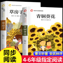 青铜葵花正版曹文轩 草房子四年级阅读课外书 儿童文学获奖作品完整版五六年级课外阅读书籍老师推荐必读纯美小说系列读物经典书目