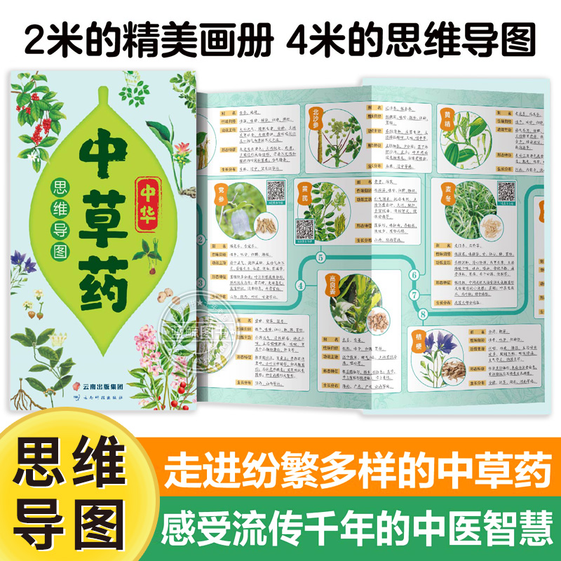 中华中草药思维导图 92种常见中草药 中药名性状功效主治思维导图情景快速记忆法 云南出版集团 书籍/杂志/报纸 中医 原图主图