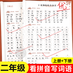 二年级看拼音写词语上册下册拼音专项训练小学语文拼音拼读训练人教版 二年级上下册生字注音组词练习同步练习册组词练习题RJ