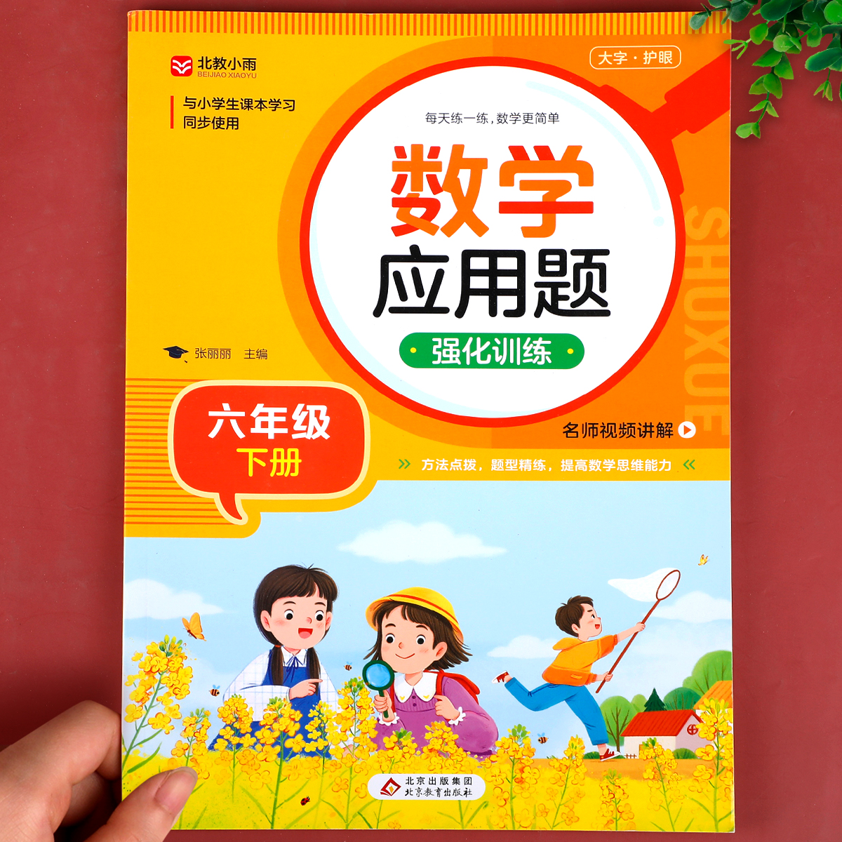 小学六年级下册数学应用题专项训练 人教版6下应用题思维强化练习册 负数百分数的认识 圆柱与圆锥 正比例和反比例 小升初总复习RJ