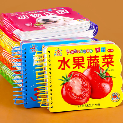 阳光宝贝翻翻乐大卡全套10册