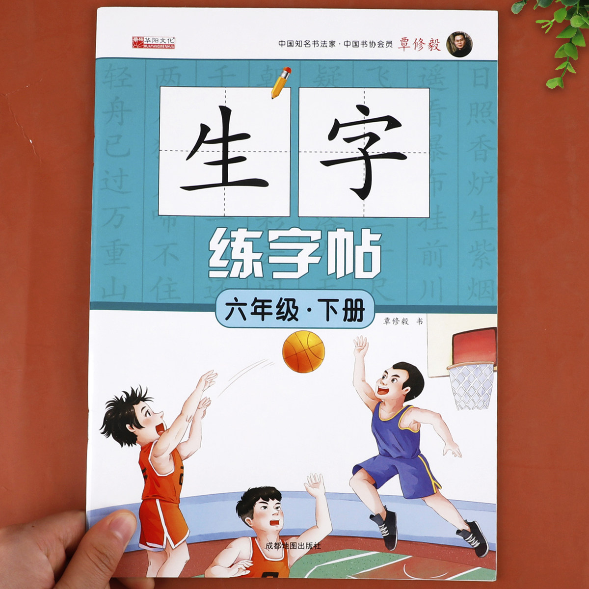 六年级生字练字帖下册人教版同步语文字帖:6下  小学生练好字写字练字