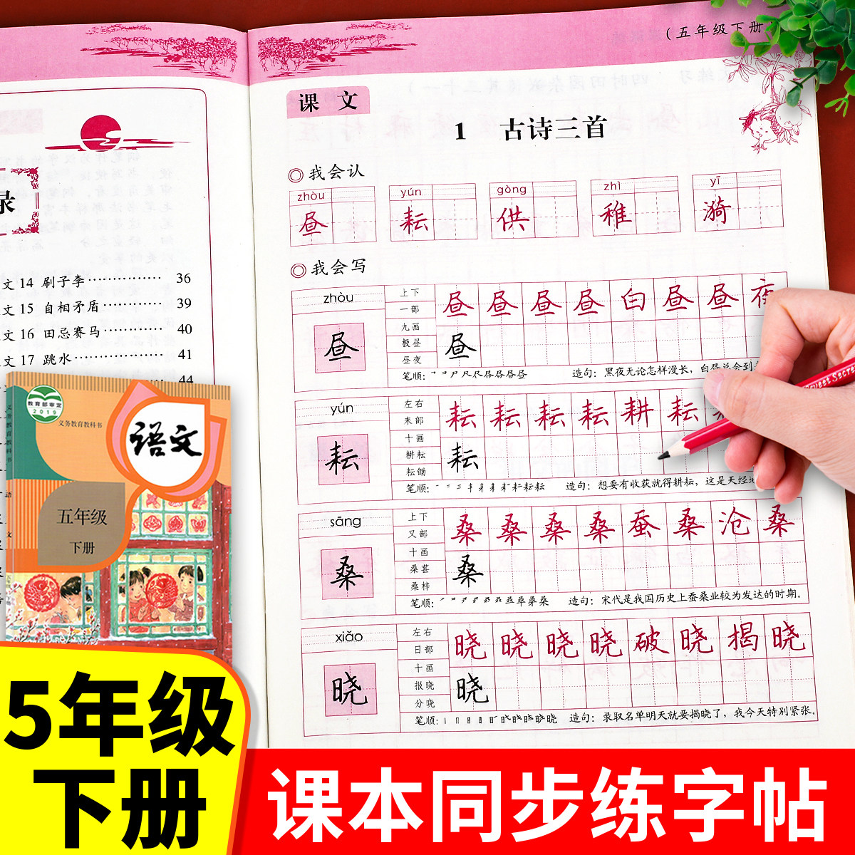 五年级下册语文同步字帖 练字帖人教部编版五下课本教材每日一练小学5年级人教版 下学期写字帖写字课课练 练字本小学生专用RJ