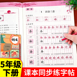 五年级下册语文同步字帖 练字帖人教部编版五下课本教材每日一练小学5年级人教版 下学期写字帖写字课课练 练字本小学生专用RJ