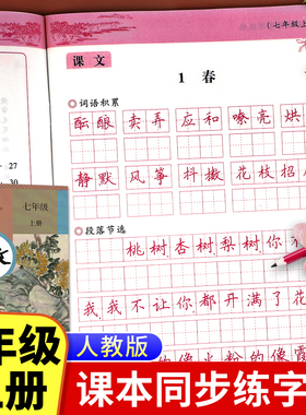 七年级上册语文同步字帖写字课课练人教版初一专用字帖控笔训练笔画笔顺描红楷书练字帖正楷临摹硬笔书法练字本每日一练初中7上zj