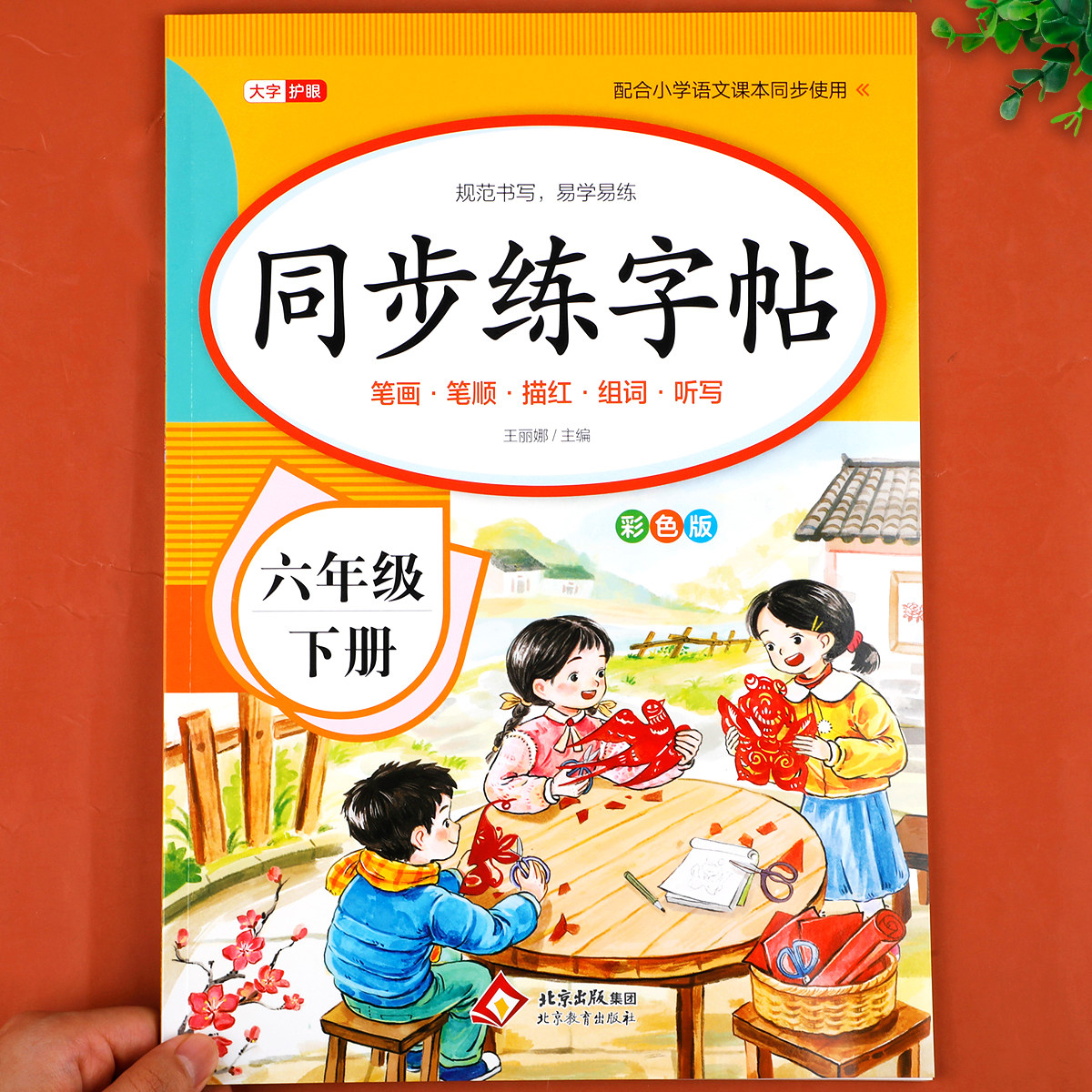 2026新版 六年级下册练字帖语文同步字帖人教版 小学生6下学期教材课文生字贴正楷硬笔书法练习笔顺写字本六下每日一练课课练部编