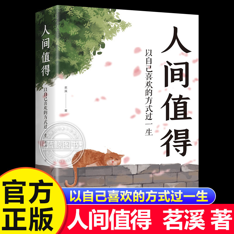 人间值得正版 励志学书籍以自己喜欢的方式过一生励志书籍初高中生人生正能量青春成长不烦恼畅销心理学畅销书排行榜书籍