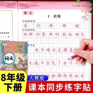 八年级下册语文字帖人教版初二同步写字课课练初中生专用控笔训练笔画笔顺描红楷书练字帖正楷临摹硬笔书法练字本每日一练8下zj