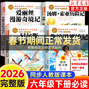 鲁滨逊漂流记六年级下册必读课外书快乐读书吧全套4册爱丽丝漫游奇境记汤姆索亚历险记尼尔斯骑鹅旅行记原著完整正版老师推荐书目