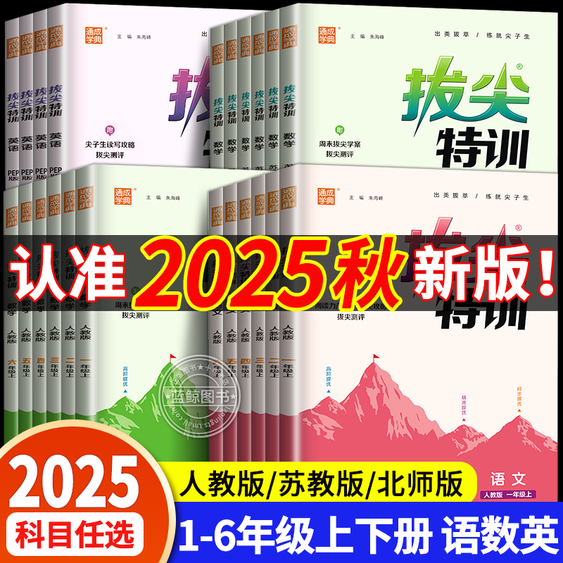 2025秋新版拔尖特训一年级下册二三四五六年级上下册小学语文数学英语全套人教版苏教北师大沪教牛津同步训练作业练习册通城学典RJ