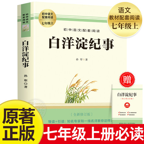 【赠考点】白洋淀纪事 七年级上册课外阅读名著书籍 老师推荐人教版教材推荐名著 完整版未删减7上非人民教育出版社MZ
