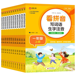 小学生看拼音写词语生字注音一二三四五六年级上册下册人教版部编同步课本语文练习册专项训练 默写能手字词句训练RJ