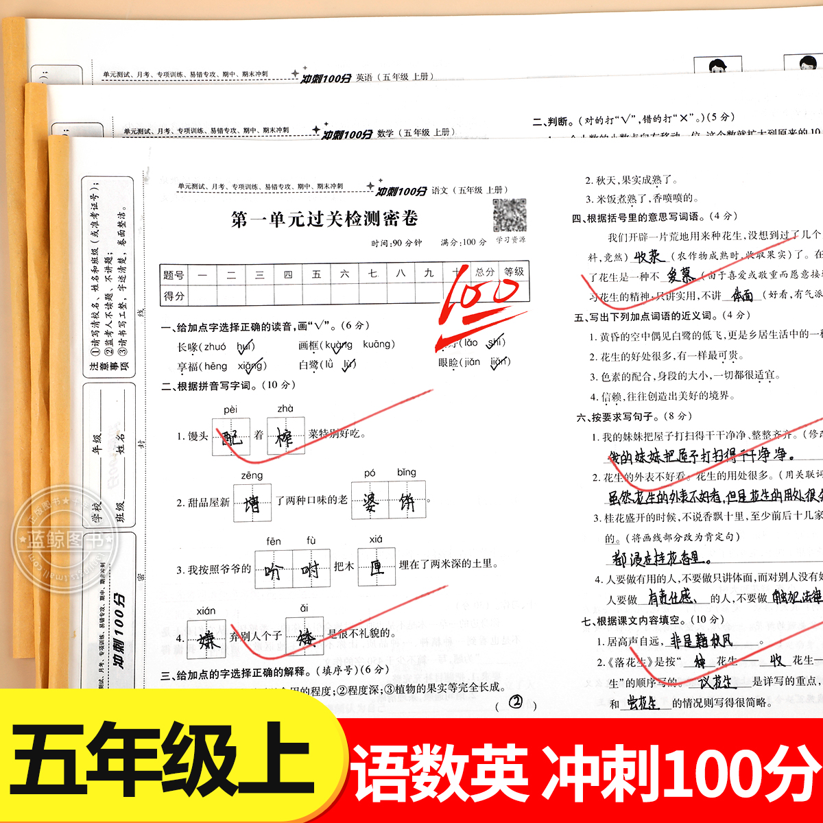 五年级上册试卷测试卷全套人教版语文数学英语冲刺100分期末总复习测试卷单元同步练习册期中末专项训练题5年级上册复习考试卷子RJ
