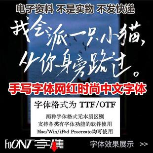 手写字体网红时尚中文字体电影字体ps字体抖音字体硬笔书法字体包