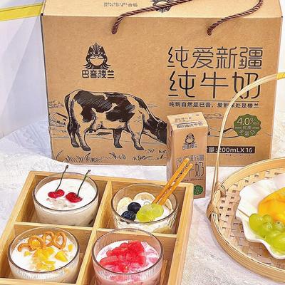 新疆纯牛奶儿童营养早餐
