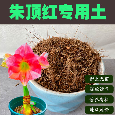 润土堂朱顶红土沙质土盆栽营养土图片