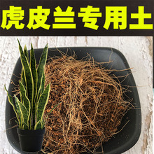 虎皮兰专用土酸性沙质泥炭松针椰糠土壤虎皮兰营养土绿植种植肥料