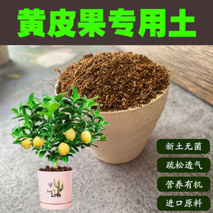 黄皮果土鸡心无核果树盆栽营养土家用酸性沙质红土壤绿植种植肥料