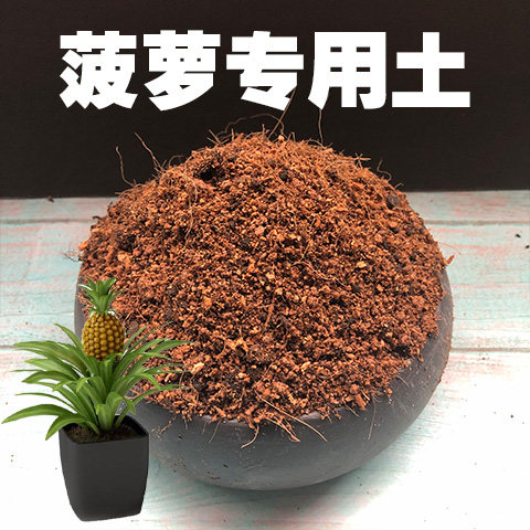 菠萝专用盆栽营养土酸性沙质绿植
