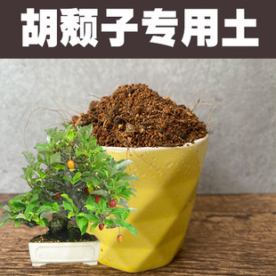 胡颓子专用土盆栽营养土家用老桩盆景种植酸性沙质土壤绿植花肥料