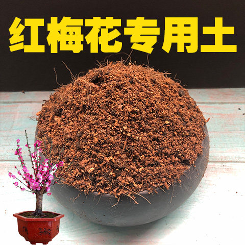 红梅花专用土红梅花土酸性沙质