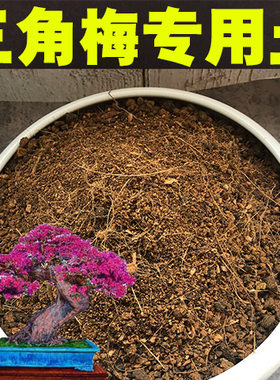 三角梅酸性盆景肥料专用土