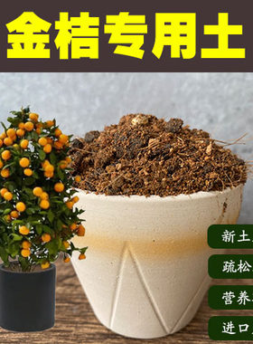 润土堂金桔树土沙质土盆栽营养土