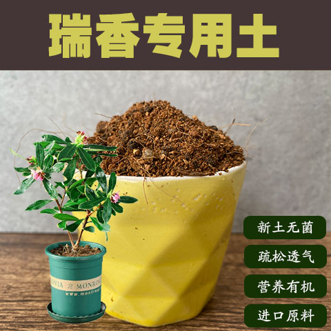 润土堂瑞香土沙质土盆栽营养土图片