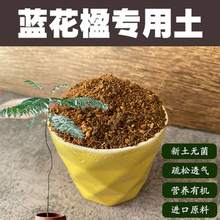 蓝花楹专用土盆栽营养土办公室树苗绿植种植酸性沙质红土壤花肥料