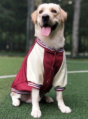 英伦风复古棒球服狗狗服装狗狗外出秋冬酒红色拼接夹克外套运动服