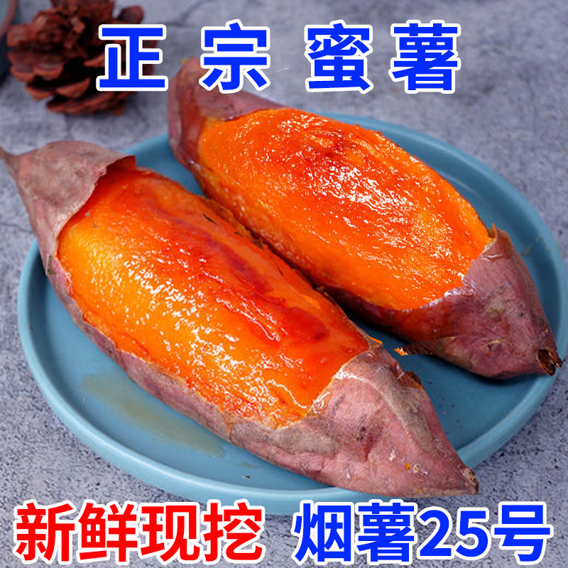 正宗山东烟薯25号蜜薯糖心红薯