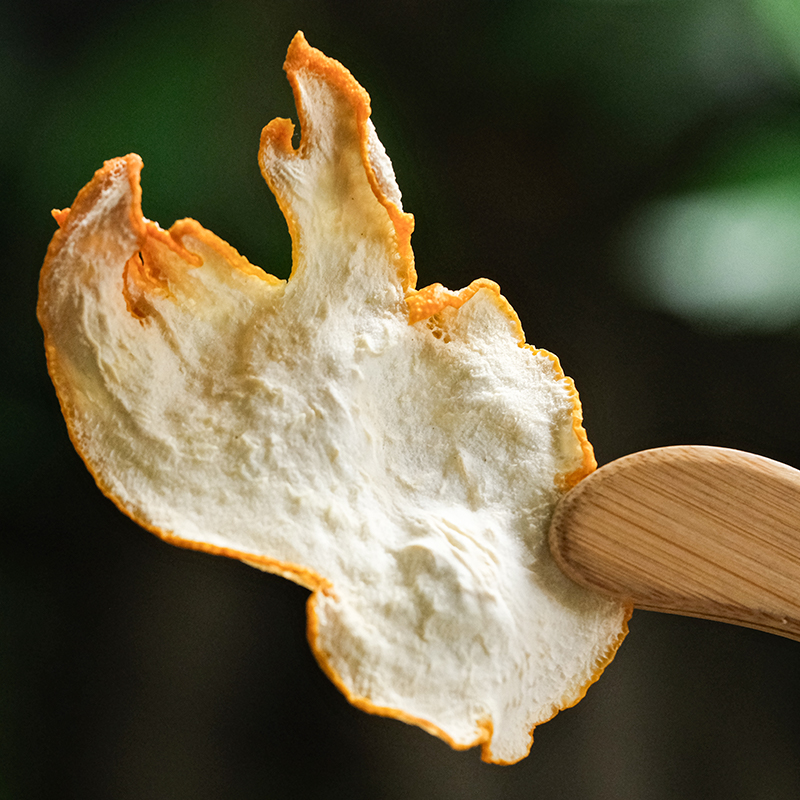 乐作｜ 佛手柑干片/干丝 低温烘烤 四季泡饮健康茶饮 微苦回甘