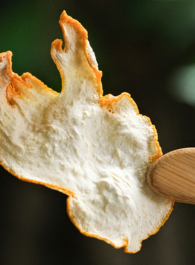 乐作｜ 佛手柑干片/干丝 低温烘烤 四季泡饮健康茶饮 微苦回甘