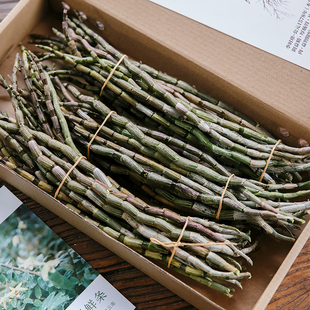 乐作｜云南铁皮石斛鲜条 生长环境好 有胶质 空运包邮