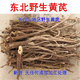 北黄芪整根片棉黄芪正品 野生黄芪 东北长白山地区野生黄芪 中药材