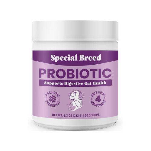 宠物维生素片狗狗猫咪钙片