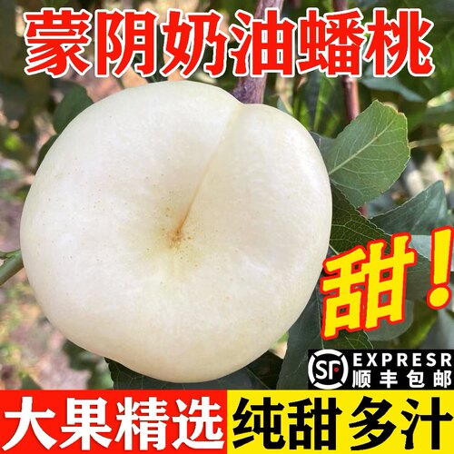 奶油蟠桃新鲜水果当季整箱蒙阴脆甜白蟠桃应季桃子的脆桃油蟠桃