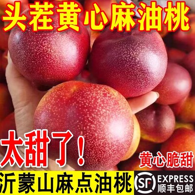 山东蒙阴麻点红油桃新鲜水果黄金油桃现摘脆甜蜜桃孕妇大果黄心