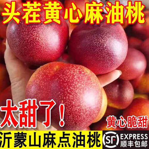 山东蒙阴麻点红油桃新鲜水果黄金油桃现摘脆甜蜜桃孕妇大果黄心