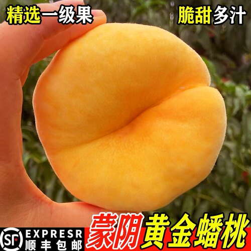 蒙阴黄毛蟠桃新鲜水果蟠桃黄桃扁桃子毛桃蒙阴蜜桃孕妇现摘